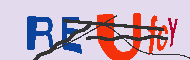 Kod CAPTCHA